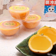 画像1: 柑乃雫（かんのしずく）半割6個入（全国一律クール送料代込） (1)